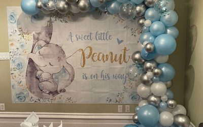 Toronto Balloon Decor Services for Gender Reveal