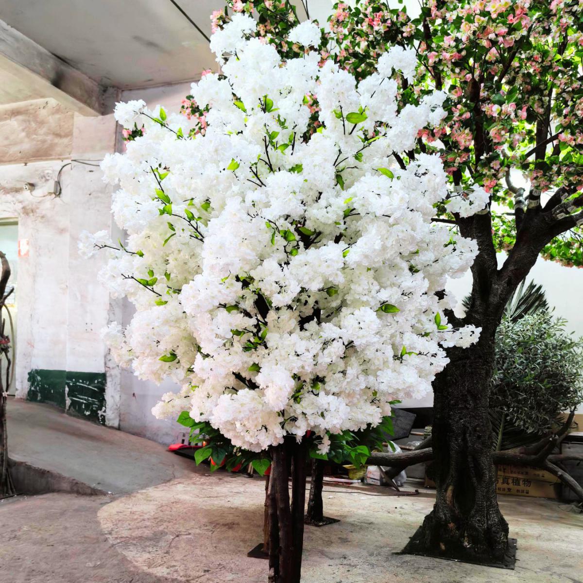 White Cherry Blossom Tree