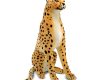 safari-cheetah-giant-stuffed-animal