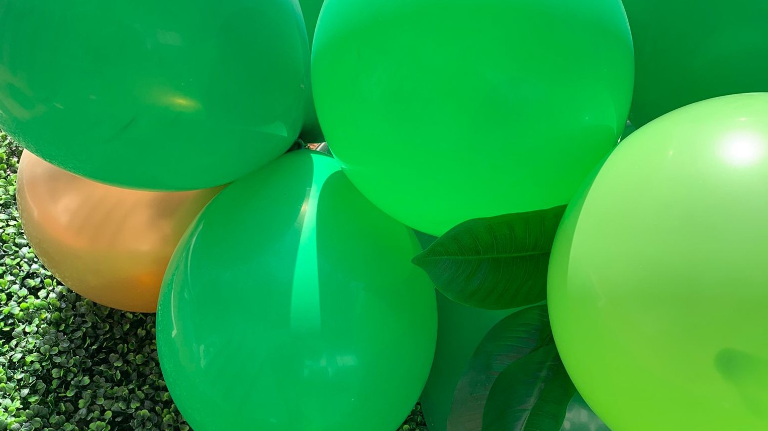 Green and gold balloons seen close up against a dark green hedge wall