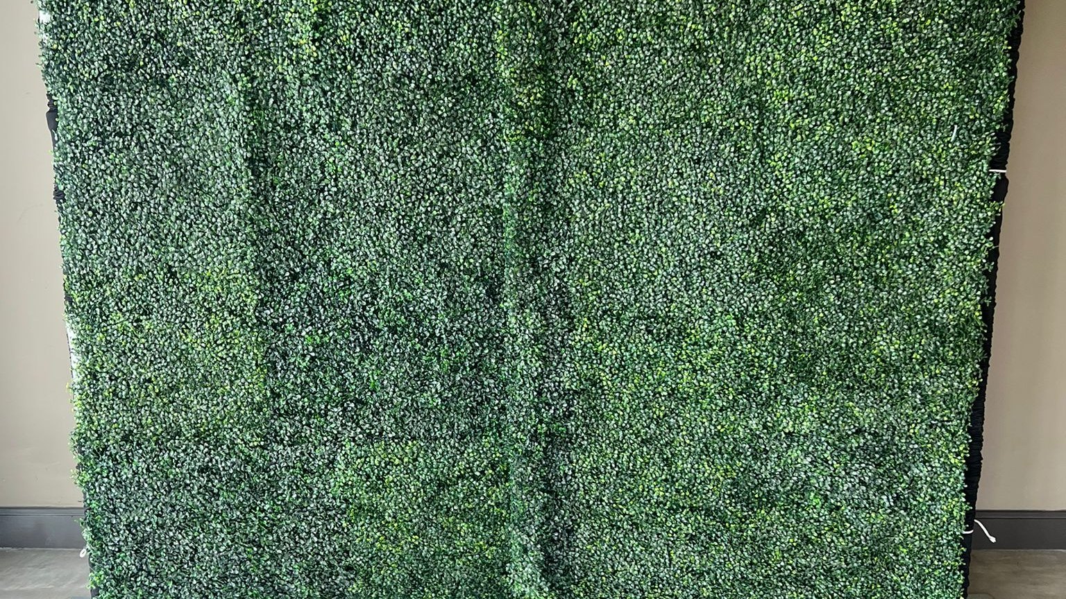 A green boxwood wall standing against a plain beige wall on a concrete floor