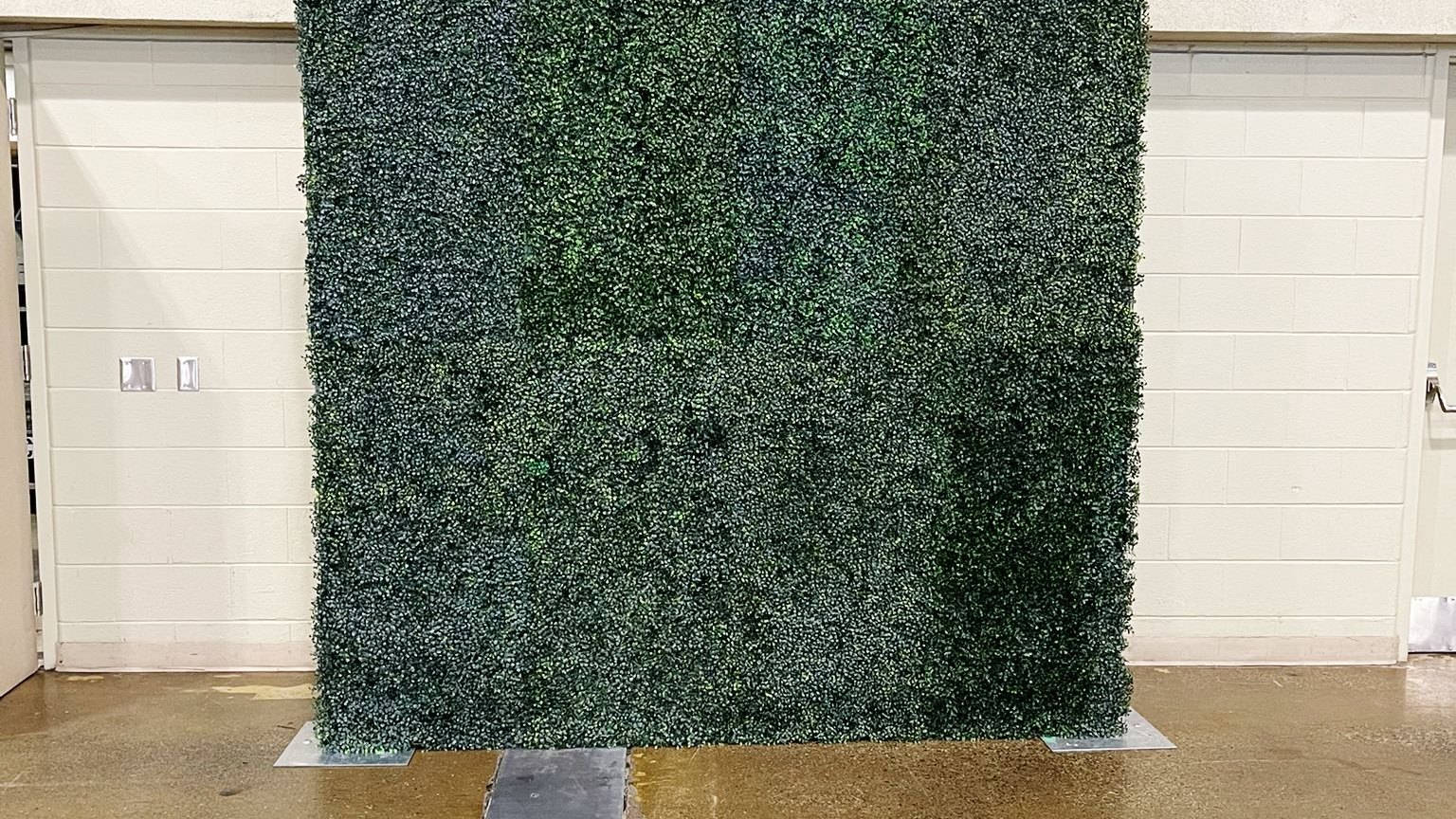 A boxwood backdrop in place before tables and linens are set